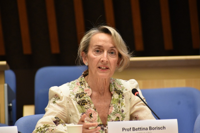 Professor Bettina Borisch of the World Federation of Public Health Associations at the Bridging Health and Peace side event